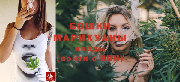 хмурый Аркадак