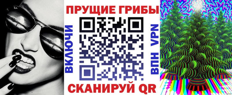 Галлюциногенные грибы мицелий  где купить наркоту  MEGA сайт  Пыталово 